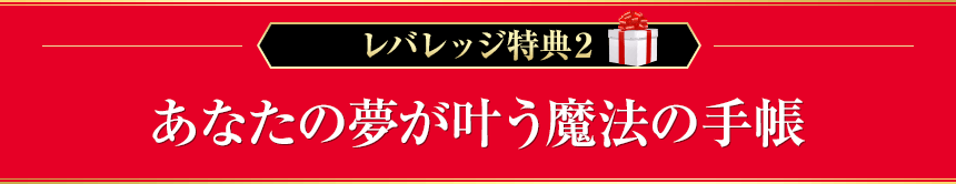 レバレッジ特典２　あなたの夢が叶う魔法の手帳