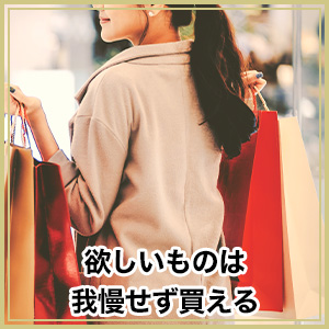 欲しいものは我慢せず買える
