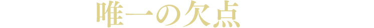 しかし、唯一の欠点があります。